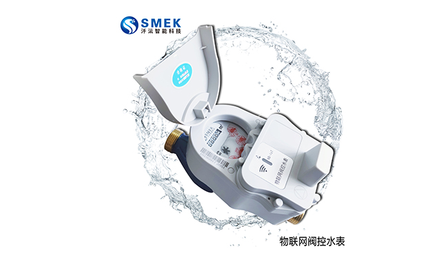 山東物聯(lián)網(wǎng)水表科學(xué)計量服務(wù)于民
