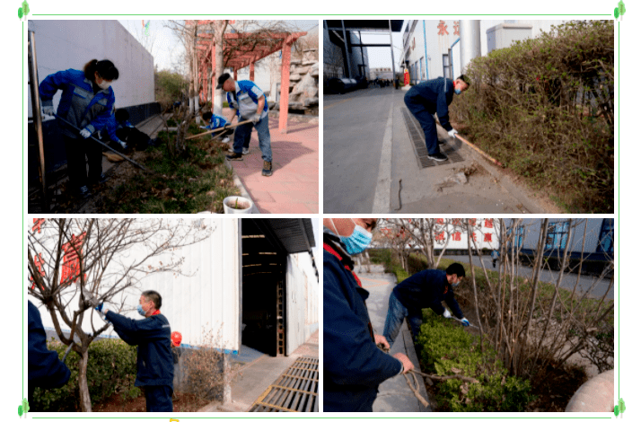 植樹造林 美化廠區(qū)